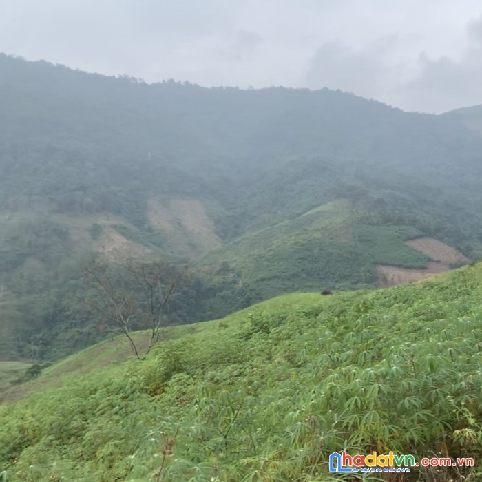 Đất nền mộc châu đón sóng cao tốc, cắt lỗ giá rẻ. bán nhanh 1,5 ha view thung lũng