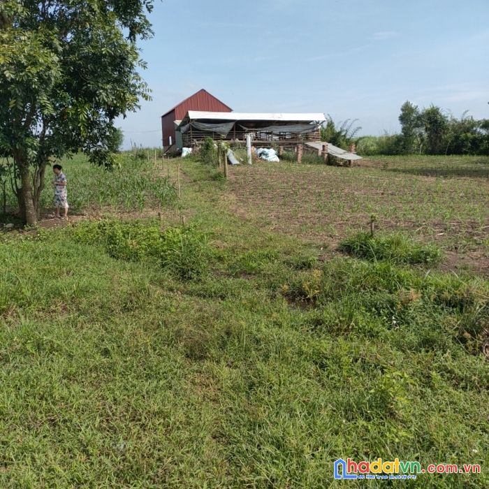 Ngân hàng thanh lý lô đất ngay mt 764 mở rộng . dt 3320m2- giá 1.3 tỷ.