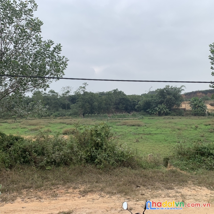 Bán nhanh  lô đất rsx tại thanh vân, tam dương diện tích : 1.25ha ( 60x200), giá cắt lỗ, sổ hồng