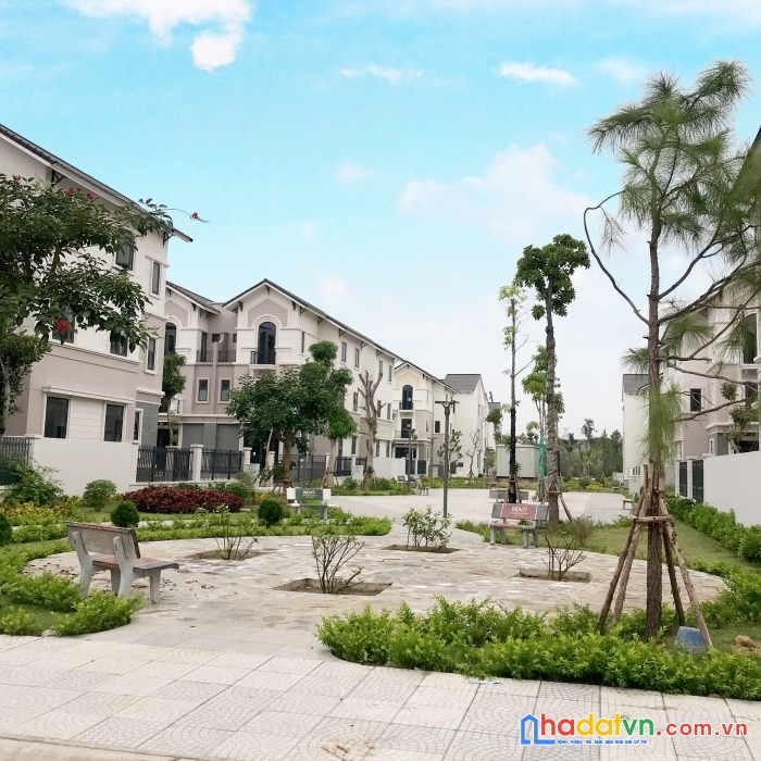 Chủ nhà thiện trí cần bán căn biệt thự cạnh công viên vị trí cực đẹp