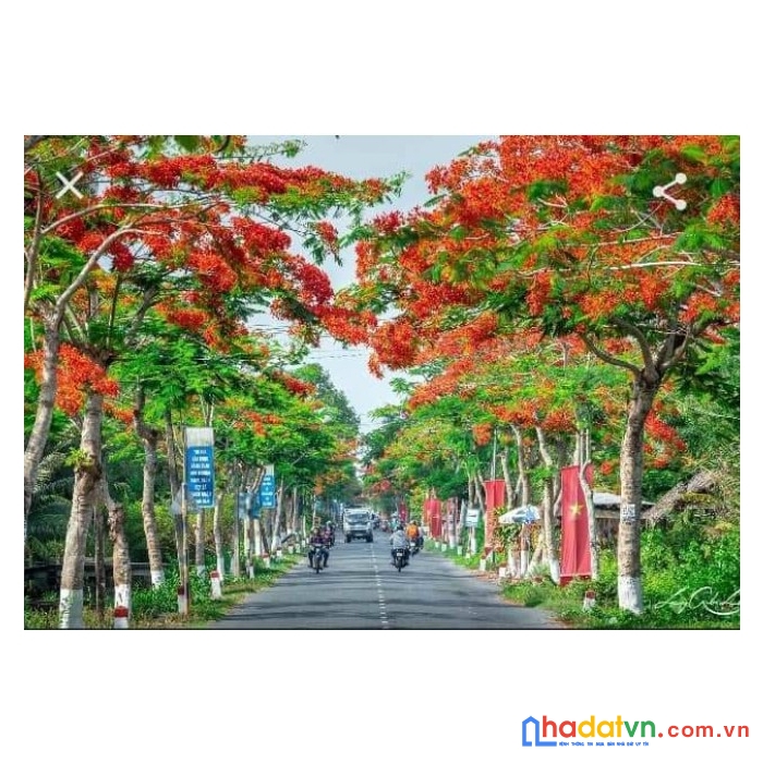 Cần bán gấp đất  mặt tiền kề bên phường vĩnh tường quốc lộ 61 ngang lớn.đoạn cầu giồng sao hướng