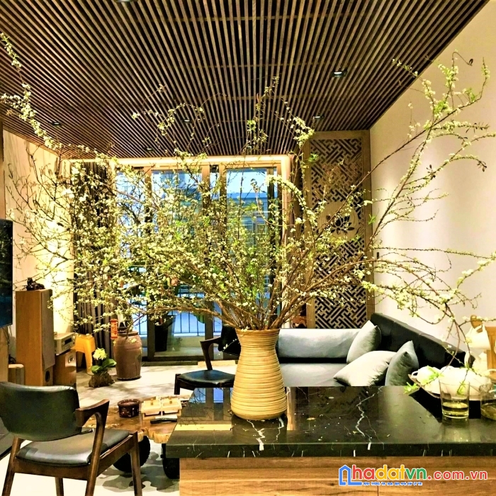 2 thoáng. bài trí cực đẹp. bán nhà cầu giấy: 50m2*5t. mt4m. 5 bước oto. giá 5 tỷ