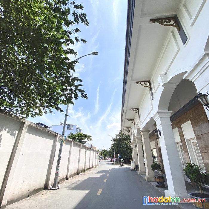 Cần bán biệt thự căn góc - khu làng châu âu - the pegasuite tại quận 8 _ tp hcm