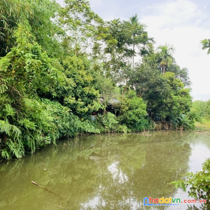 Lô đất nghỉ dưỡng vườn cây ao cá nghỉ dưỡng không chê vào đâu được 1ha có 500m thổ cư tại lạc sơn