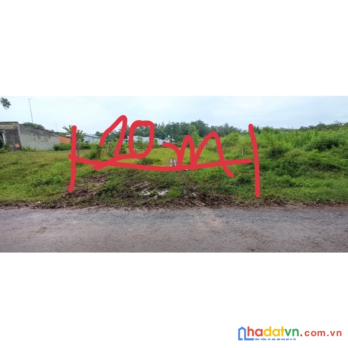 Bán đất 10m x 50m (500m2 hnk)  gò dầu - tây ninh-giá 1 tỉ 200tr