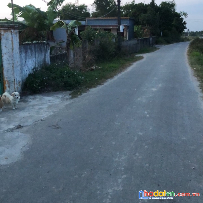 Chính chủ cần lô đất vị trí đẹp tại hải phòng