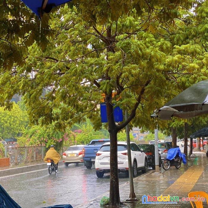 Bán nhà mặt phố mạc thái tổ 45m 6 tầng mt4m 21 tỷ nhà mới vỉa hè đá bóng kinh doanh
