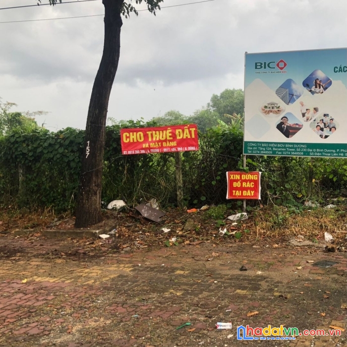 Cho thuê đất đường nguyễn tri phương, phường chánh nghĩa, thành phố thủ dầu một