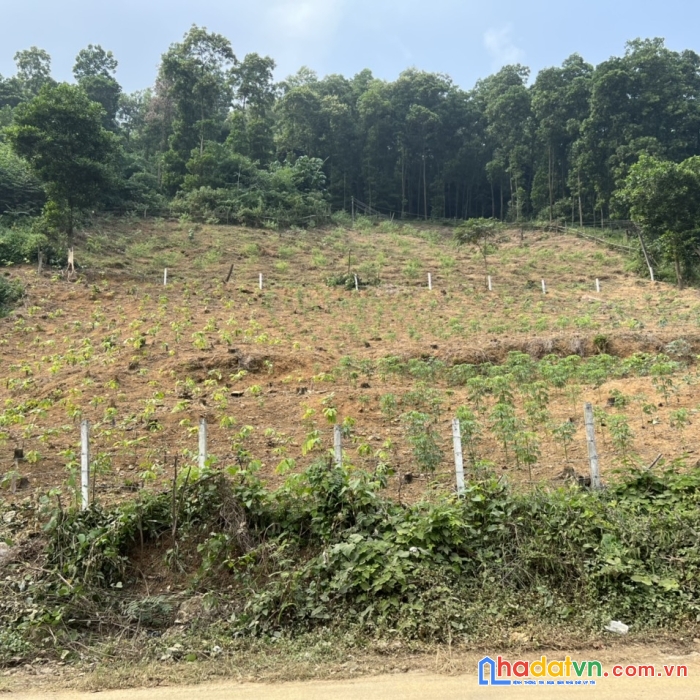 Chính chủ cần bán đất mặt đường khu du lịch ao vua tỉnh ba vì.

địa chỉ: xã tản lĩnh, huyện ba