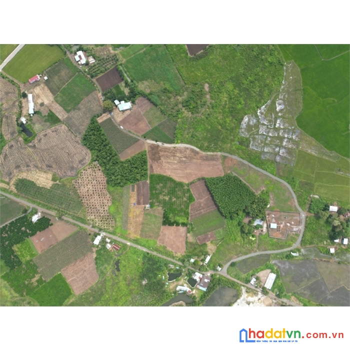 Chính chủ bán đất vườn bà riạ vũng tàu, ngân hàng cho vay, tặng vườn cây ăn quả