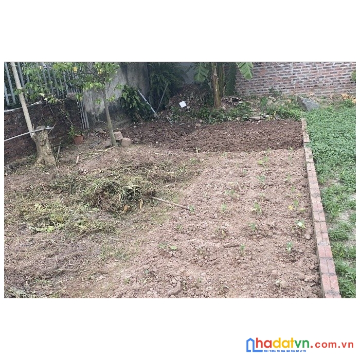 (bán gấp) 65m2 tại đông xuân, sóc sơn. đường ô tô ngõ thông.