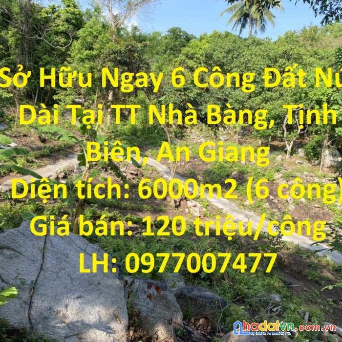 Sở hữu ngay 6 công đất núi dài tại tt nhà bàng, tịnh biên, an giang