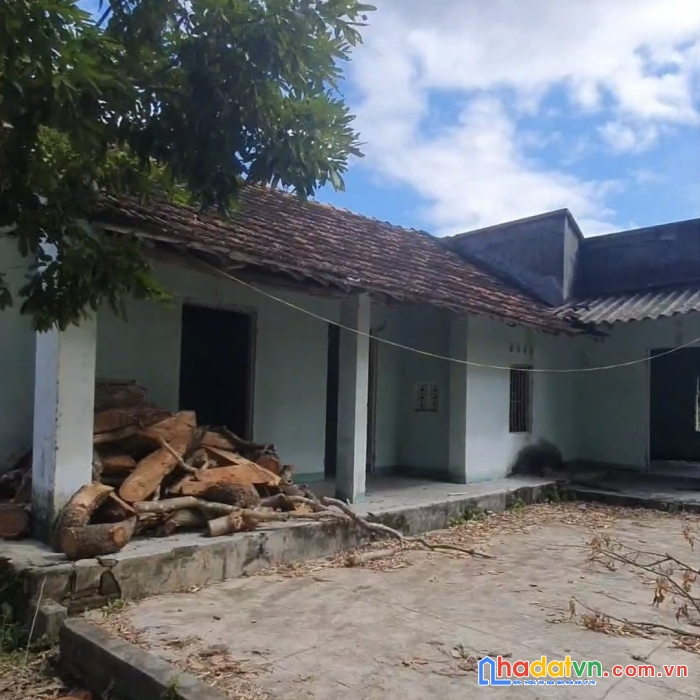 Bán gấp lô đất dt hơn 900m2 có 200m2 đất ở tặng nhà ngói ở được tại thôn trung hậu, xã mỹ