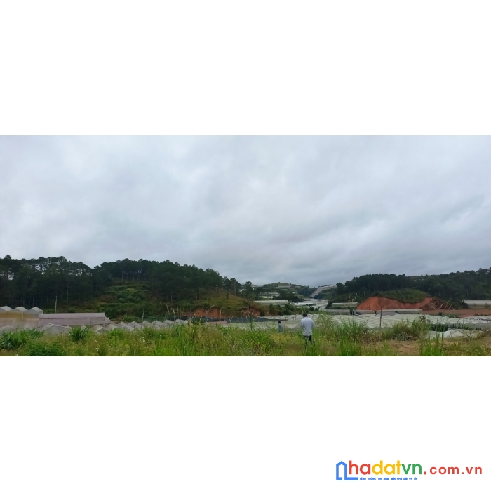 Chủ ngộp cần bán nhanh lô đất view dẹp ở p7 đà lạt, dt 1.140m2 giá chỉ có 4 tỷ