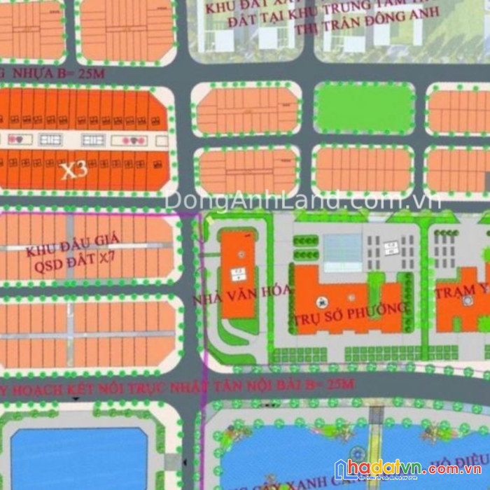 Chính chủ bán đất đấu giá vườn đào đông anh