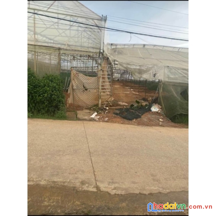 Bán gấp đất đường mai xuân thưởng, p8, đà lạt giá 650 triệu