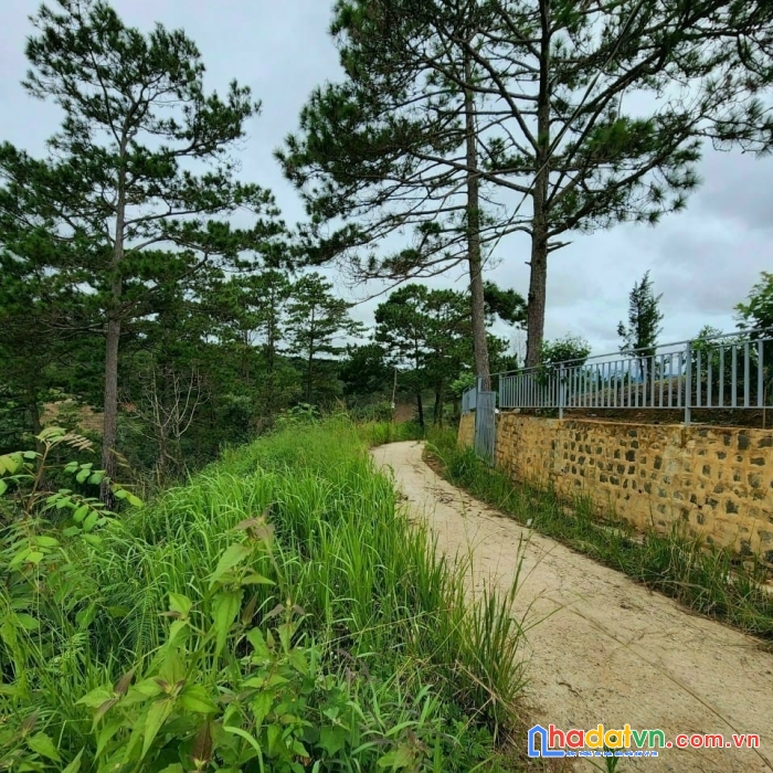 Ngộppppp..... giảm giá bán gấp đất rộng view đẹp tại đà lạt 1000m2 giá chỉ 2.75 tỷ