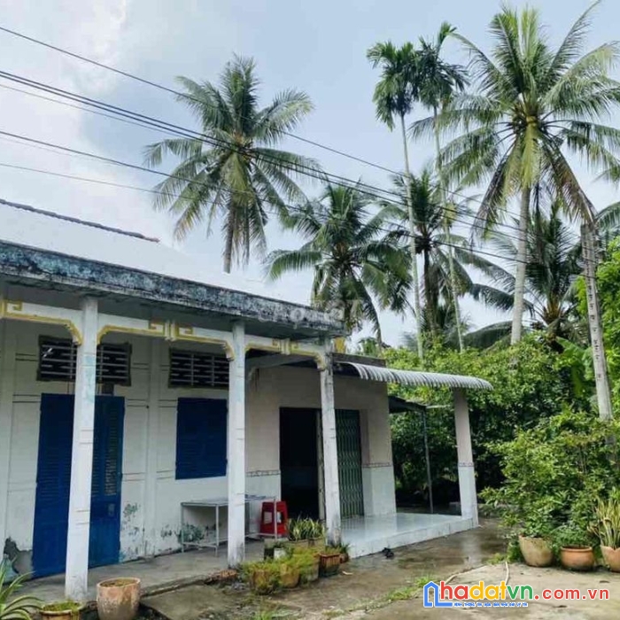 Cần bán gấp gần 8000 m2 trong đó có 100m2 đất thổ cư xã đại hải, huyện kế sách, sóc trăng