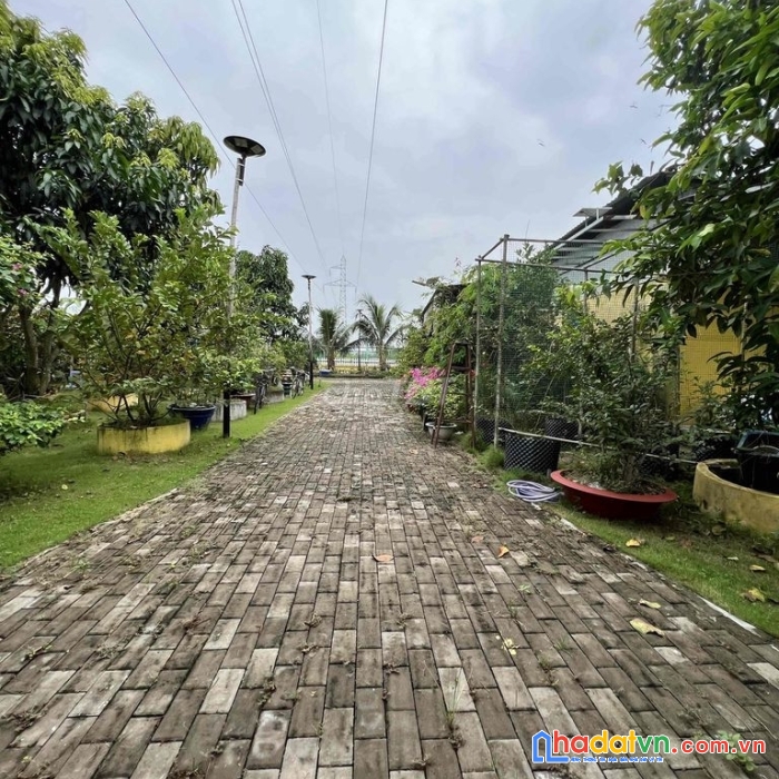 Chính chủ cần bán đất vườn gần 3300m2 xã an ninh tây huyện đức hòa long an