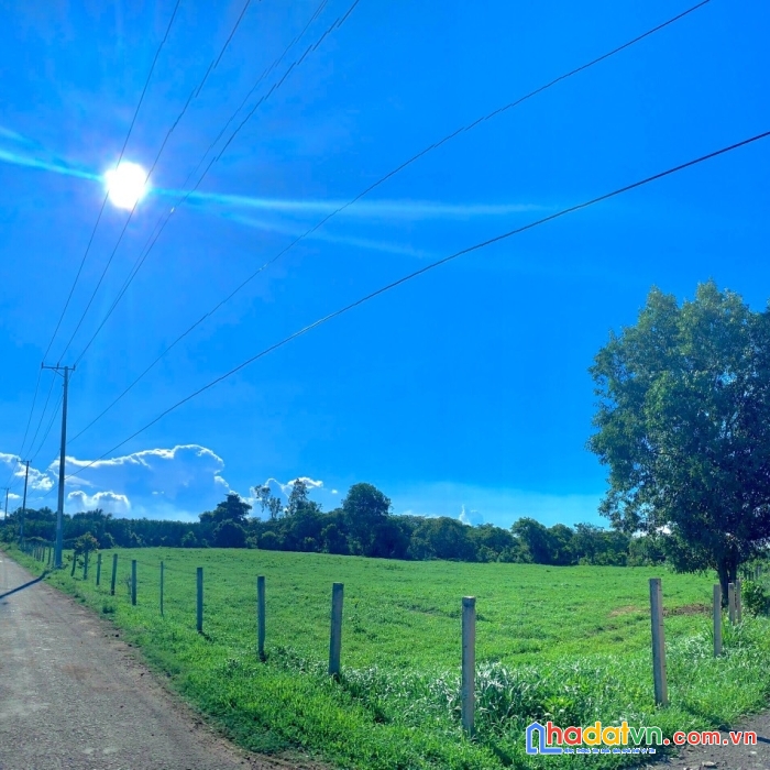 Đất vũng tàu dưới 1 tỷ, thổ cư, sổ riêng hàng hiếm ở đất đỏ cách biển chỉ có 15 phút.