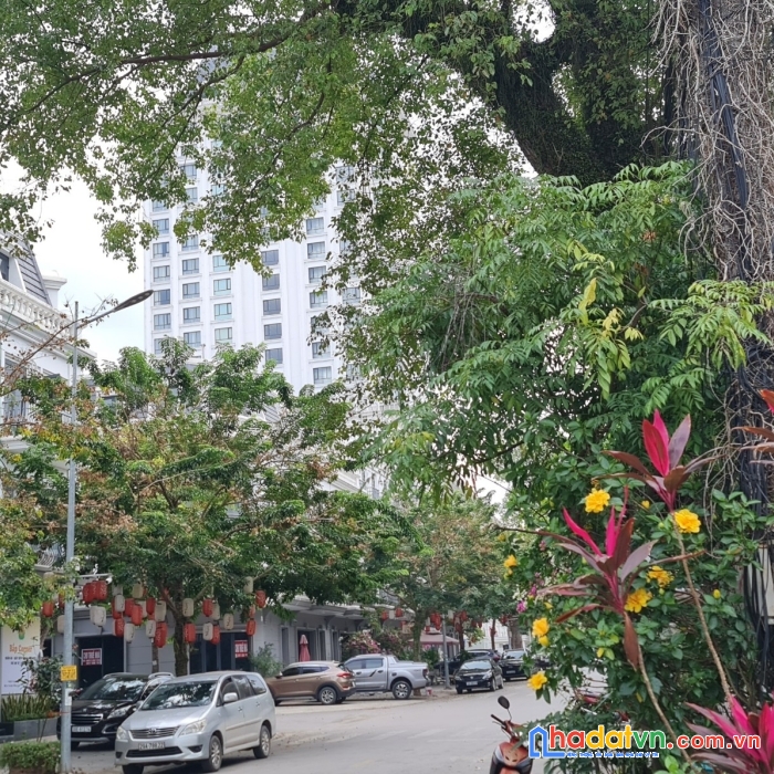 Bán gấp nhà liền kề 4 tầng vinhomes lạng sơn, tp lạng sơn - mtg