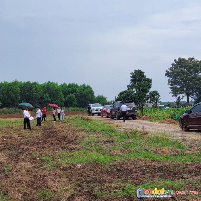 Chính chủ bán đất cln, đất thổ cư, đất đỏ, bà rịa vũng tàu, đường ô tô, nh cho vay