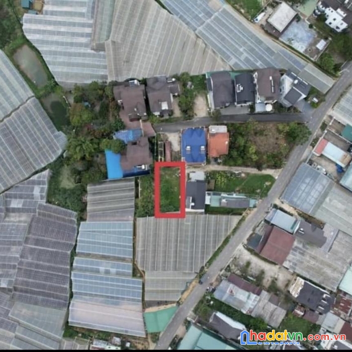 Bán đất biệt lập đường trần đại nghĩa phường 8 đà lạt
