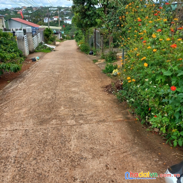 Sở hữu ngay lô đất đẹp tại nhánh lý thường kiệt, tt di linh, huyện di linh, lâm đồng