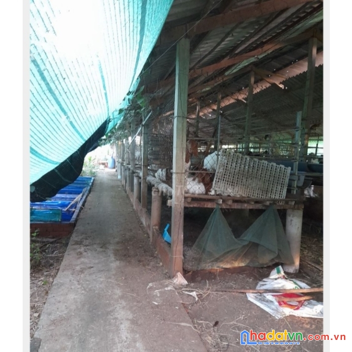 Cần bán gấp lô đất vị trí đẹp tại xã bình phan - chợ gạo - tiền giang