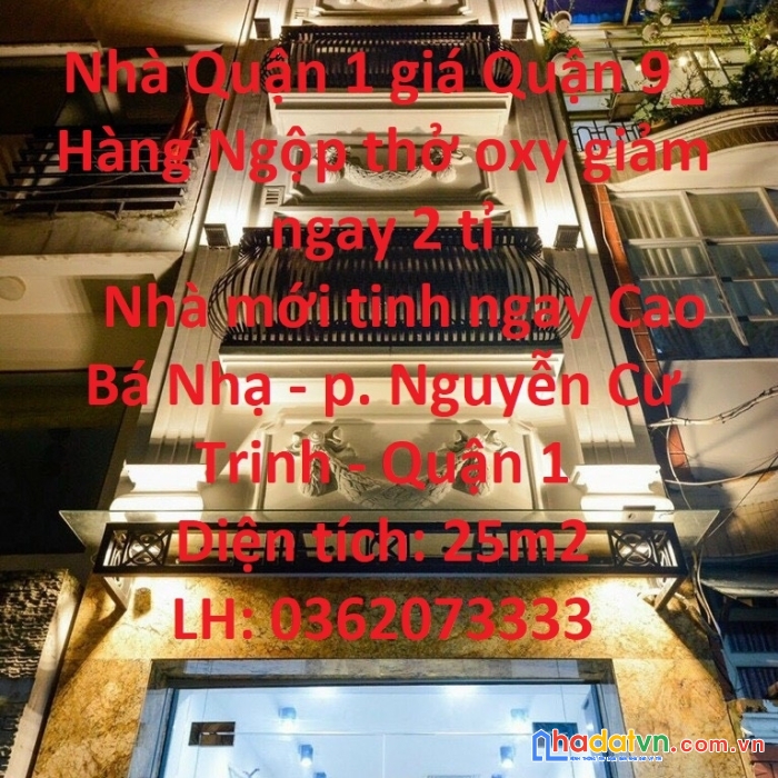 Nhà quận 1 giá quận 9_ hàng ngộp thở oxy giảm ngay 2 tỉ