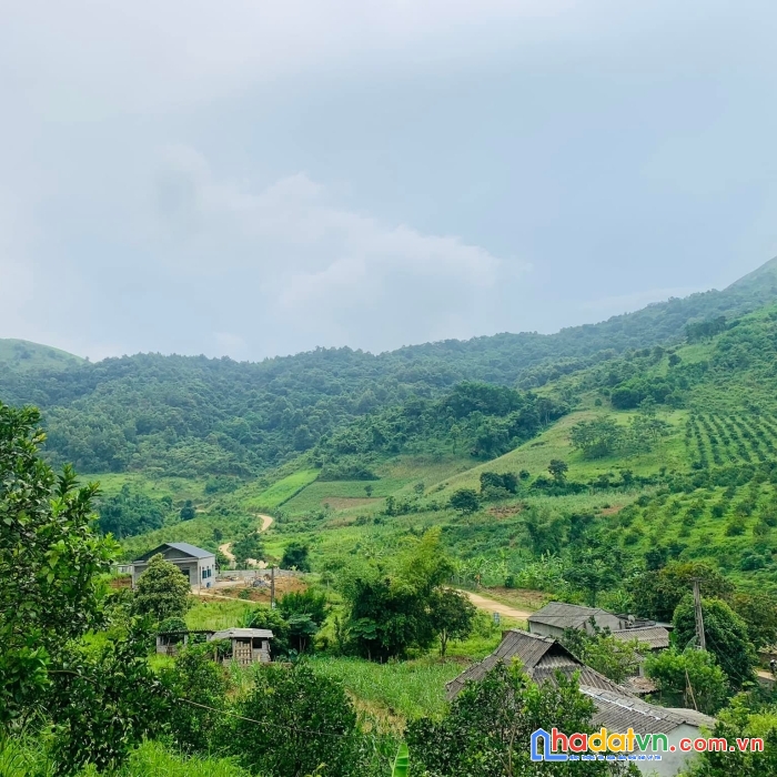 Gấp lô đất khách bỏ cọc bán giá vớt rẻ có 1-0-2 tại hợp phong cao phong. 2.2ha 911m ont giá chỉ 3