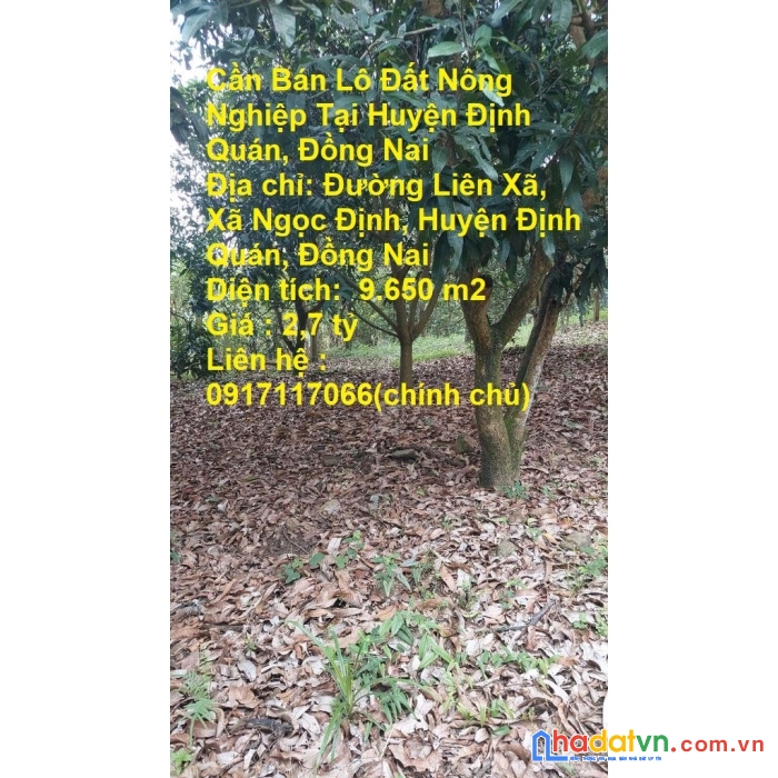 Cần bán lô đất nông nghiệp tại huyện định quán, đồng nai