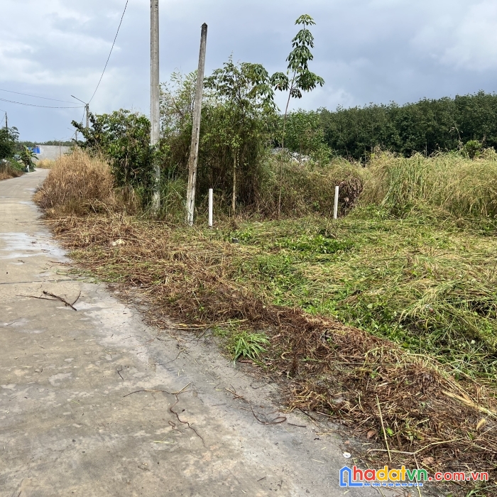 1000m2 sát bên phúc hưng golden, gần kcn minh hưng, gái chỉ hơn 2 tr/m