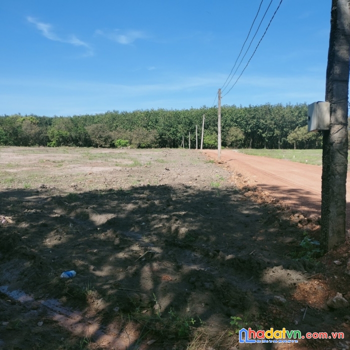 Cần bán đất trung tâm đồng phú , gần kcn ,mt đường 19m