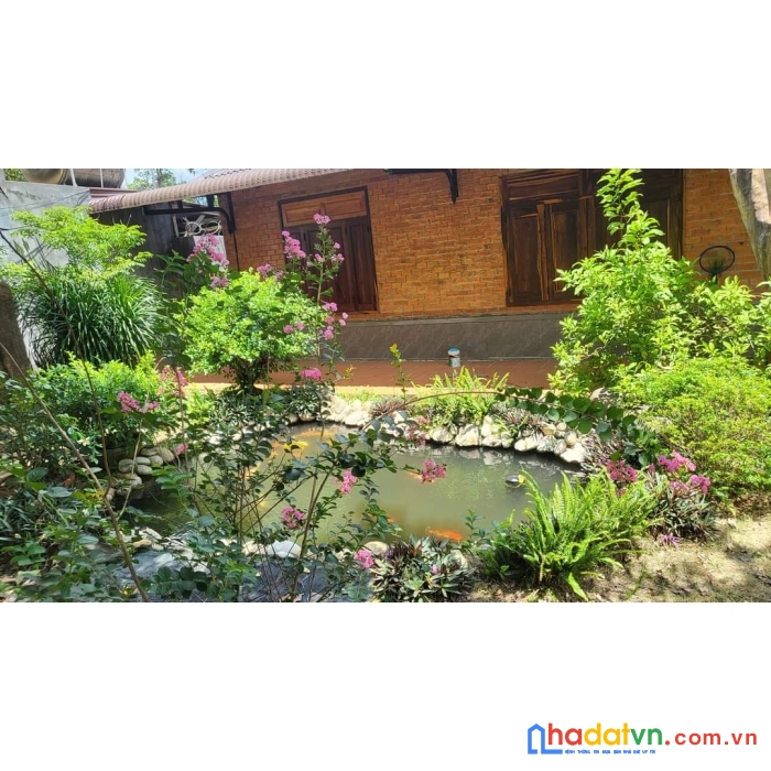 Bán hoặc cho thuê nhà vườn làm khu kinh doanh, nghỉ dưỡng phường khánh xuân, buôn ma thuột, đắk lắk