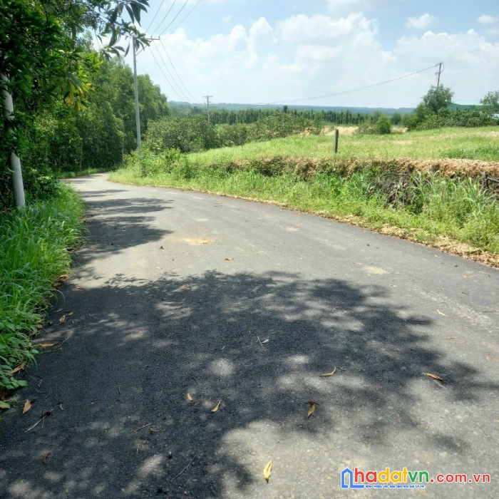 Cần bán đất vị trí đẹp tại bà rịa vũng tàu