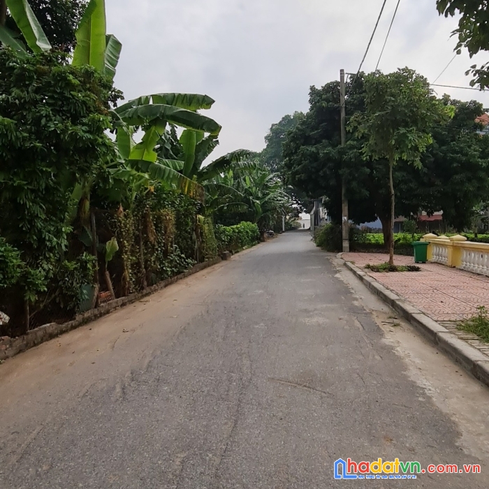 Thanh lý đất xã lê chi, huyện gia lâm, hà nội - 279m2, mt 21m