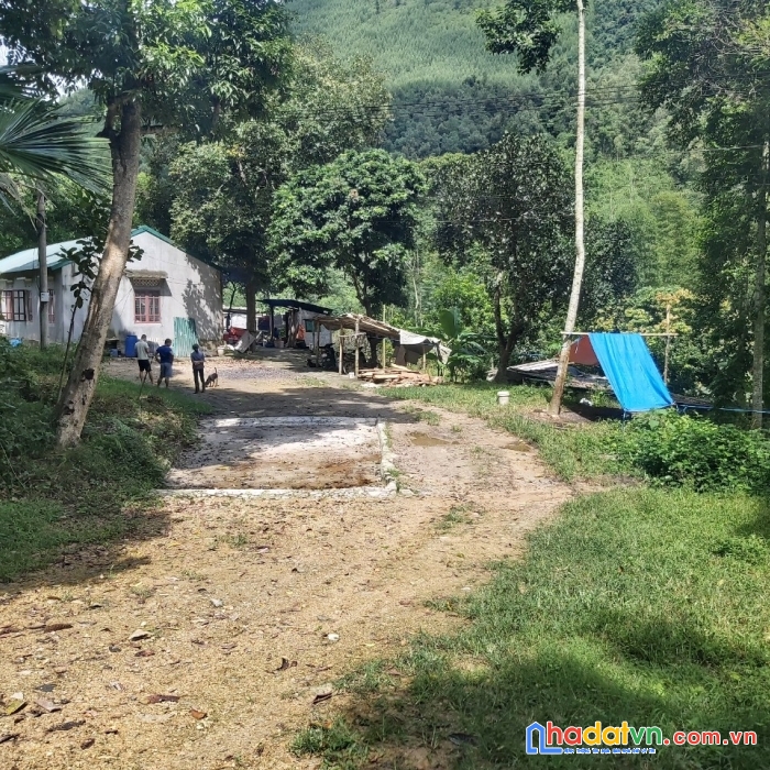 Chính chủ cần bán trang trại 5.5ha đầy đủ giấy phép tại cao sơn - đà bắc. bám đường tl433 giá 8.5