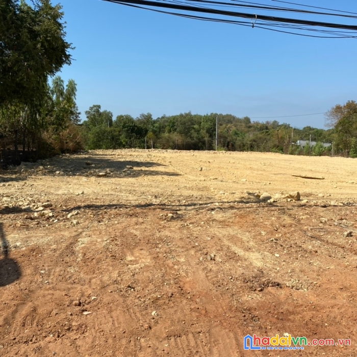 Chính chủ cần bán lô đất mặt tiền 1500m2 , đường xuyên cơ - vũng tàu