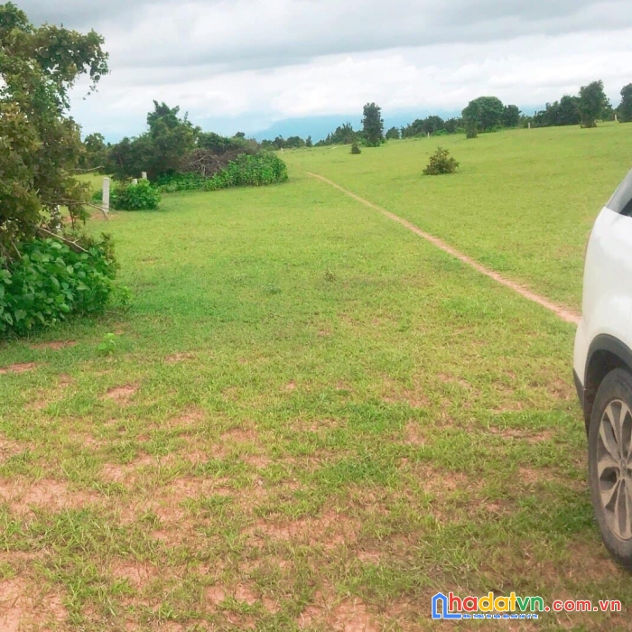 Còn lô hết đấ thiếm gần sân bay dễ mua bán