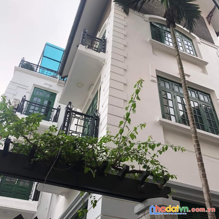 Biệt thự võng thị đẳng cấp thương lưu gara ô tô,  sát phố lớn, 200m- 23.5 tỷ