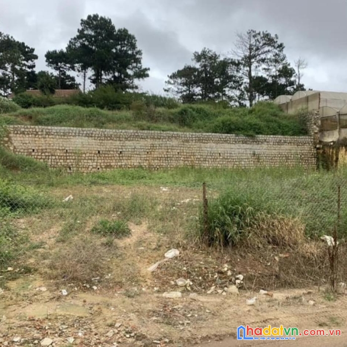 Bán 2 lô đất mặt tiền đường trịnh hoài đức phường 11 đà lạt