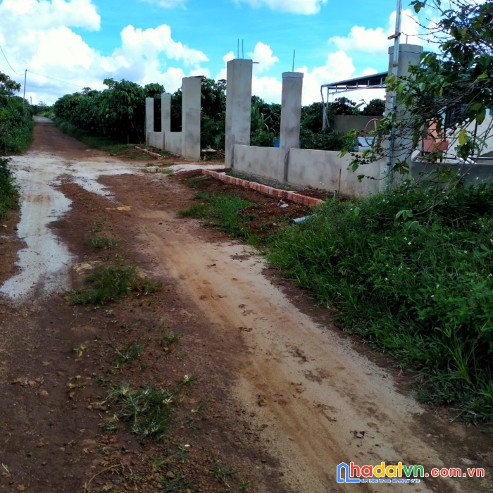 Chính chủ cần bán đất vị trí đẹp giá rẻ hấp dẫn tại lâm đồng