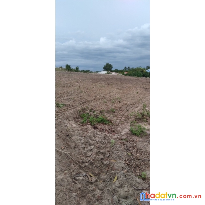 Hot hot cần bán gấp lô đất mặt tiền quốc lộ 1a sông lũy, bình thuận