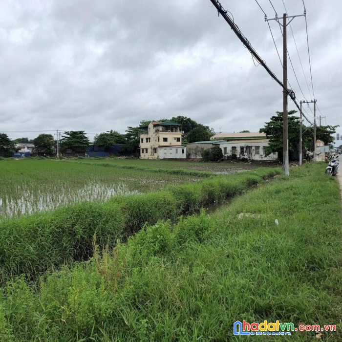 Bán đất ql22 xã xuân thới đông huyện hóc môn nhỉnh 20 triệu 1m2