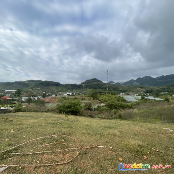 Cần tiền bán nhanh mảnh đất 1,5ha tại mộc châu, giá chỉ 2xx triệu