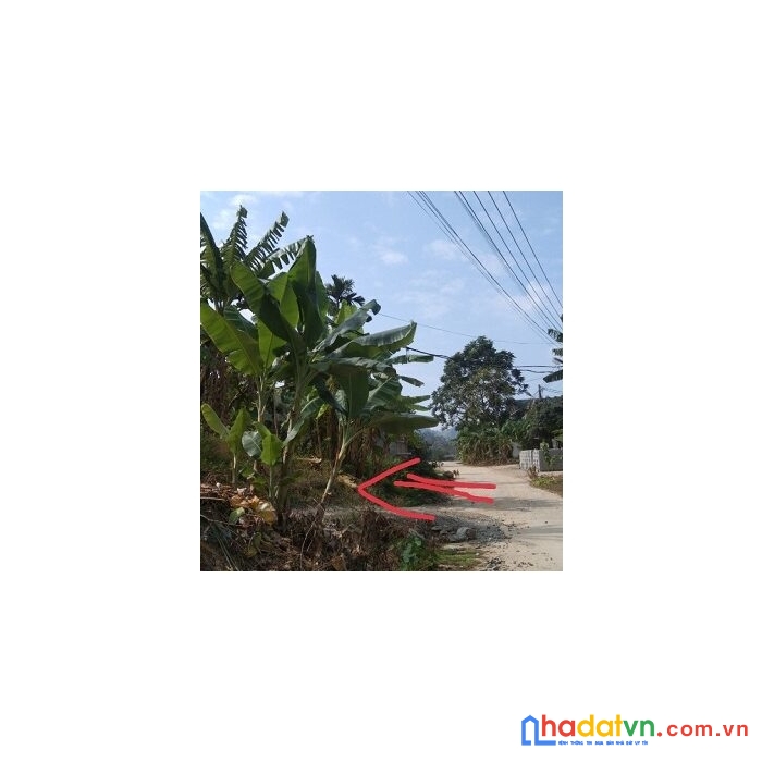 Chính chủ bán đất tại tổ 7, thị trấn việt quang, huyện bắc quang, tỉnh hà giang