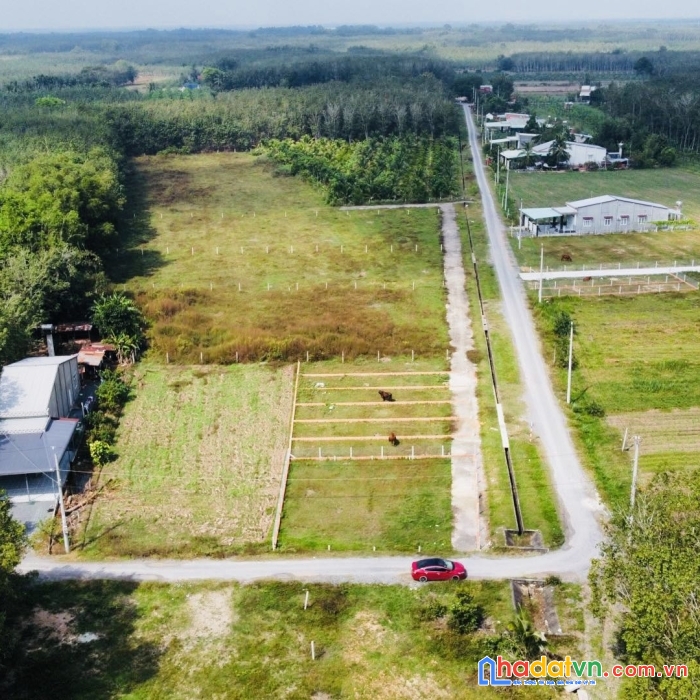 Tôi dân tây ninh, bao giá đất f0 để đầu tư, hỗ trợ từ a -> z pháp lý, giấy phép, quy hoạch, phân