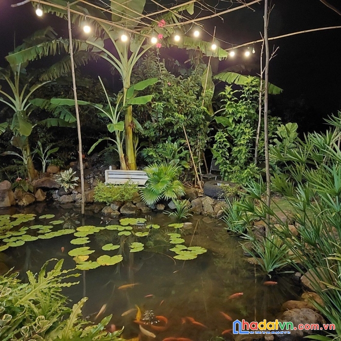 Nhà vườn tại huyện đất đỏ, brvt giá tốt, thổ cư