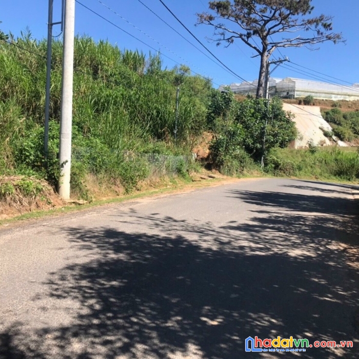 Cần bán gấp đất nền biệt thự mặt tiền đường tô hiệu, đà lạt 500m2 giá chỉ 16.8 tỷ